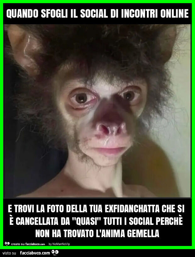 Quando sfogli il social di incontri online e trovi la foto della tua exfidanchatta che si è cancellata da "quasi" tutti i social perchè non ha trovato l'anima gemella