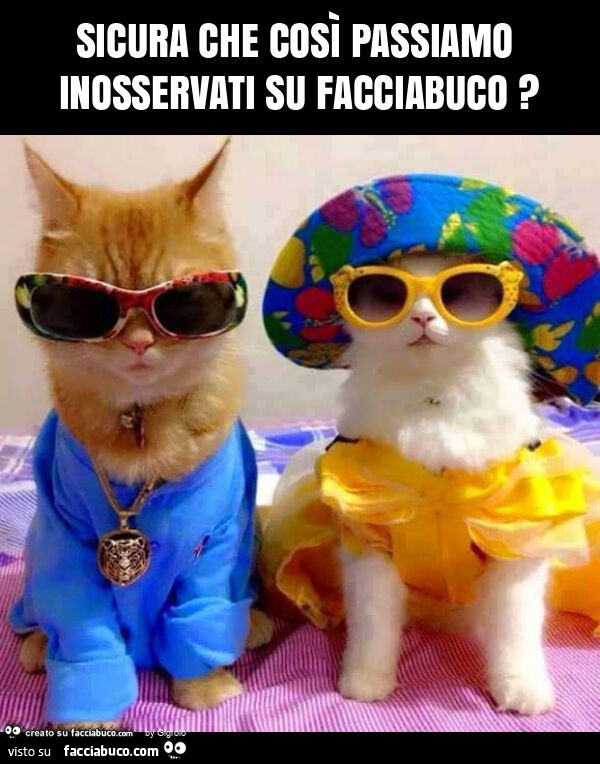 Sicura che così passiamo inosservati su facciabuco?