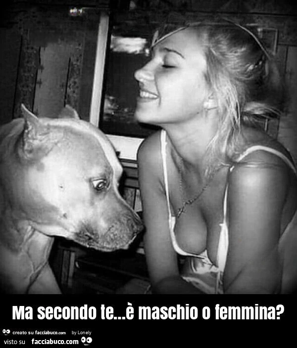 Ma secondo te&hellip; è maschio o femmina?