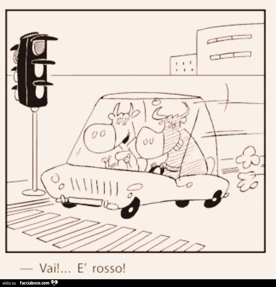 Tori alla guida. Vai è rosso