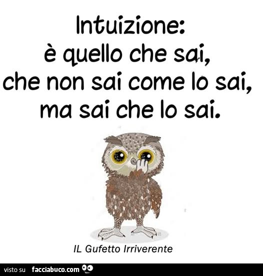 Intuizione: è quello che sai, che non sai come lo sai, ma sai che lo sai