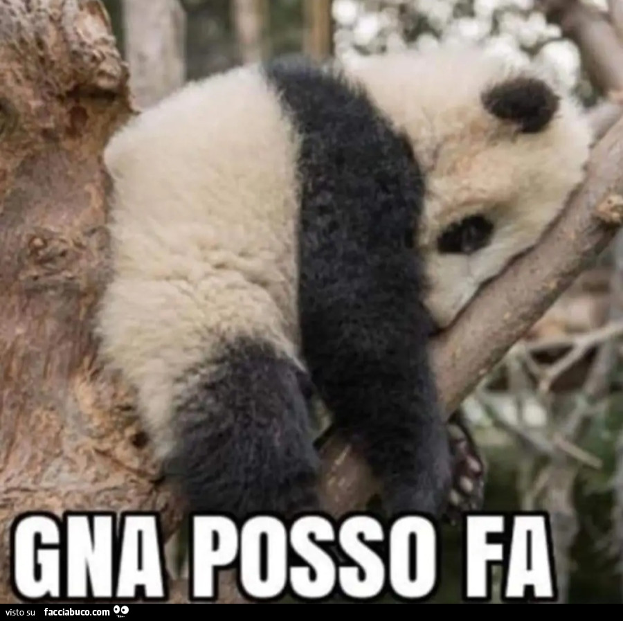 Gna posso fa panda