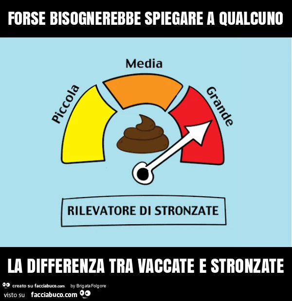 Forse bisognerebbe spiegare a qualcuno la differenza tra vaccate e stronzate