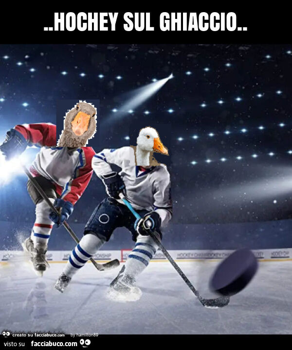 Hochey sul ghaccio