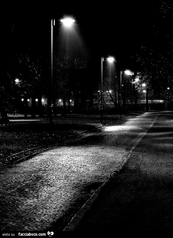 Parco illuminato di notte