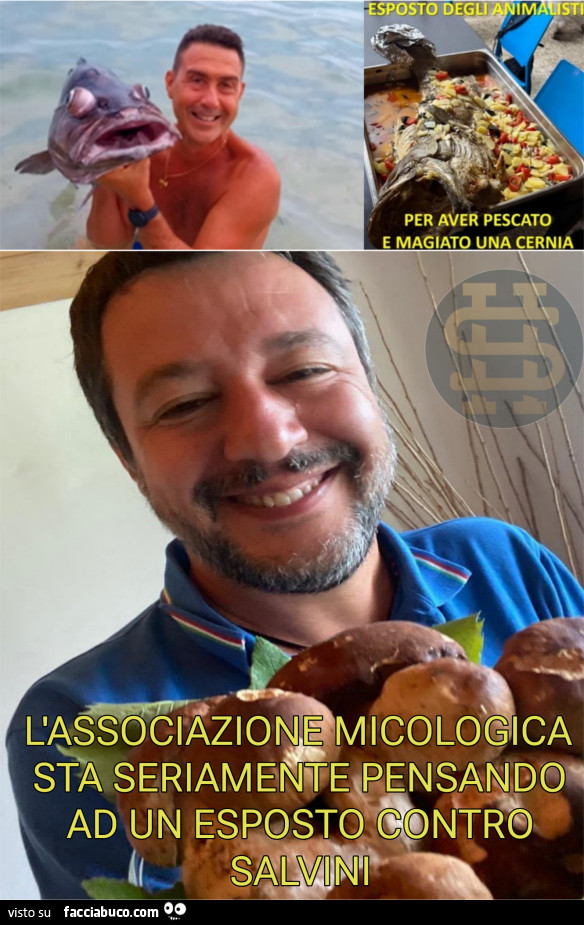 Vaccata
