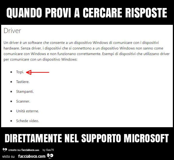 Quando provi a cercare risposte direttamente nel supporto microsoft