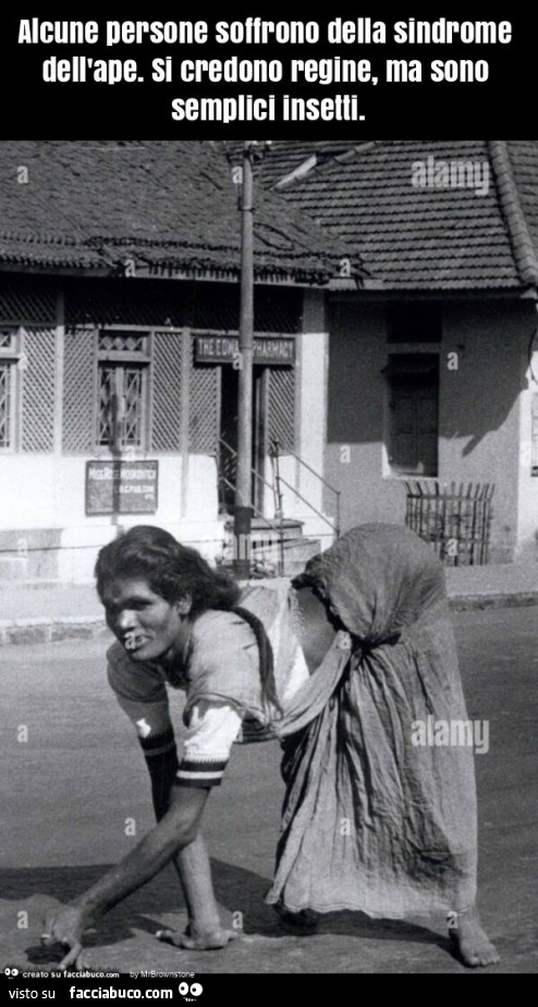 Alcune persone soffrono della sindrome dell'ape. Si credono regine, ma sono semplici insetti