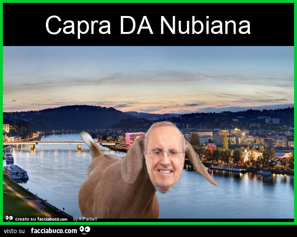Capra da nubiana