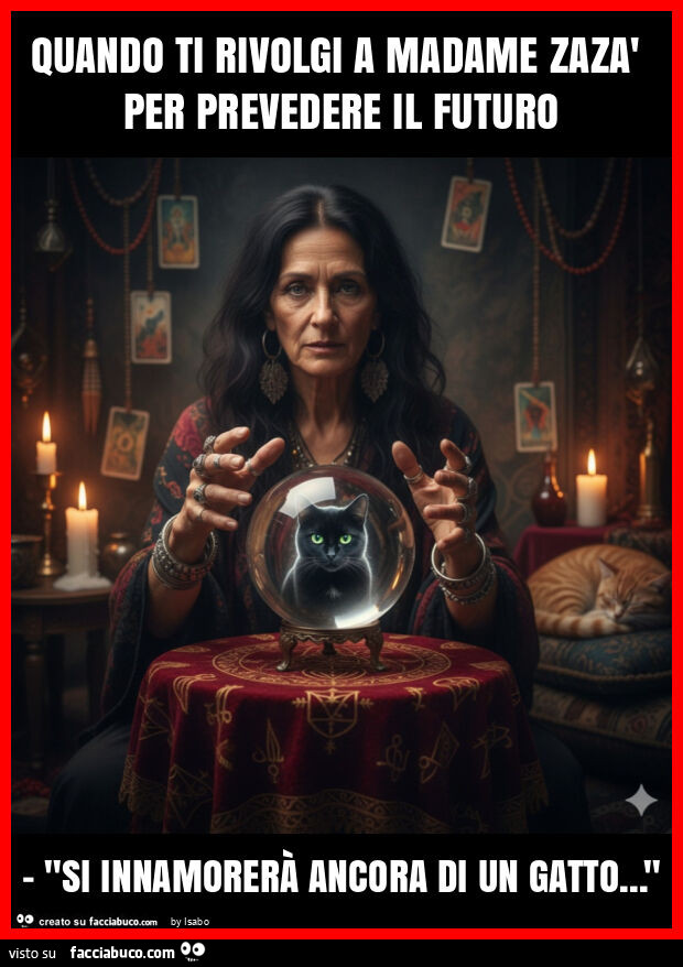 Quando ti rivolgi a madame zazà per prevedere il futuro - "si innamorerà ancora di un gatto&hellip; "