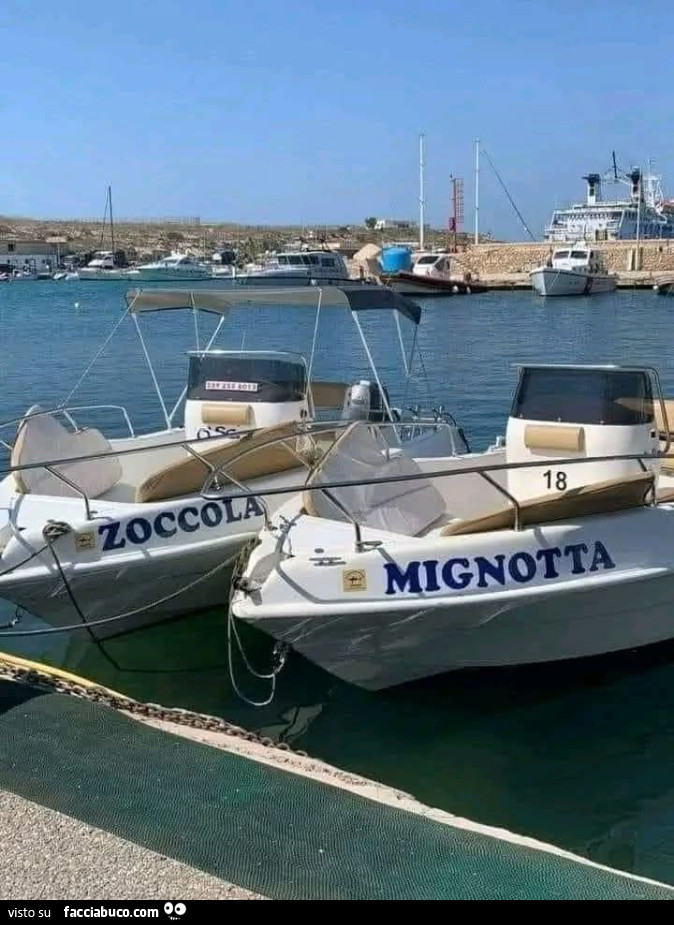 Vaccata