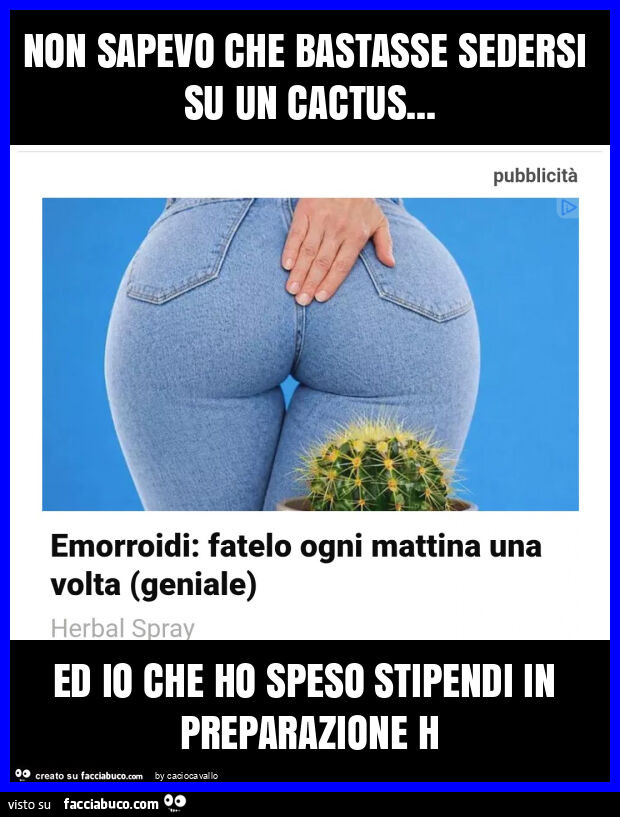 Non sapevo che bastasse sedersi su un cactus&hellip; ed io che ho speso stipendi in preparazione h