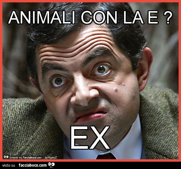 Animali con la e? Ex