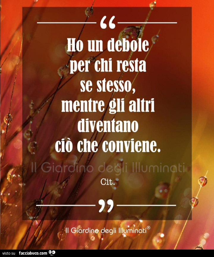 Ho un debole per chi resta se stesso, mentre gli altri diventano ciò che conviene