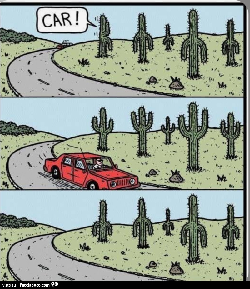 Cactus