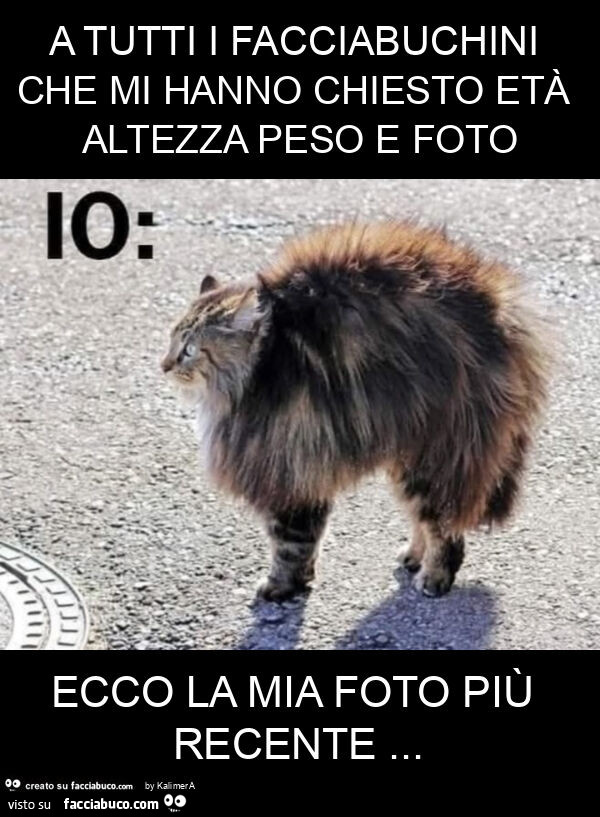 A tutti i facciabuchini che mi hanno chiesto età altezza peso e foto ecco la mia foto più recente