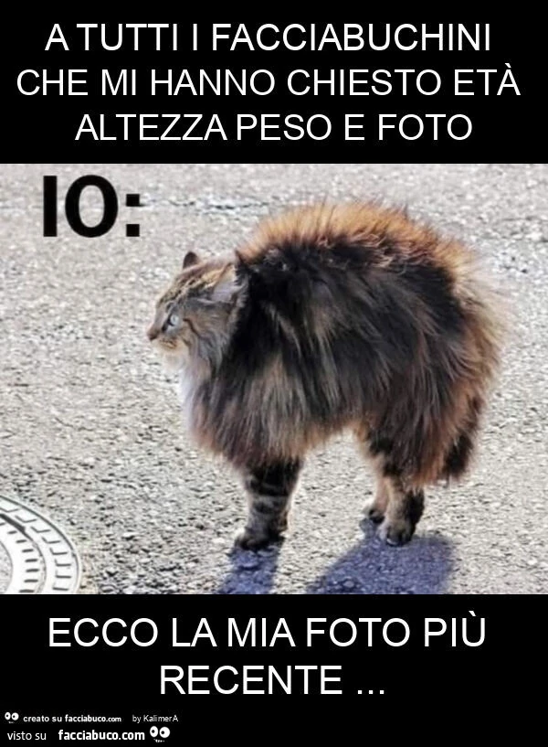 A tutti i facciabuchini che mi hanno chiesto età altezza peso e foto ecco la mia foto più recente