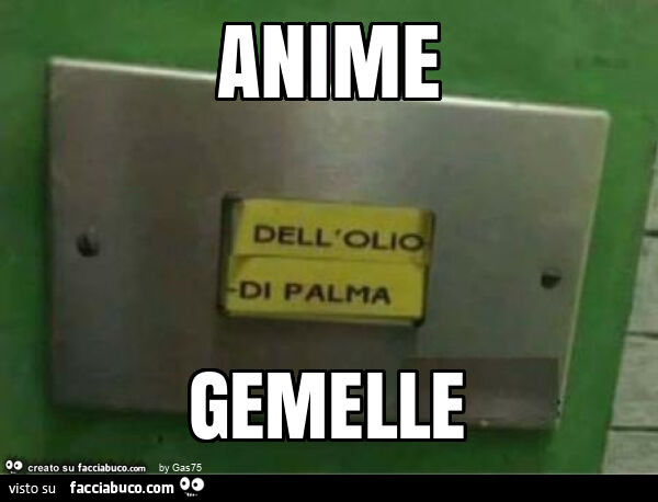 Anime gemelle