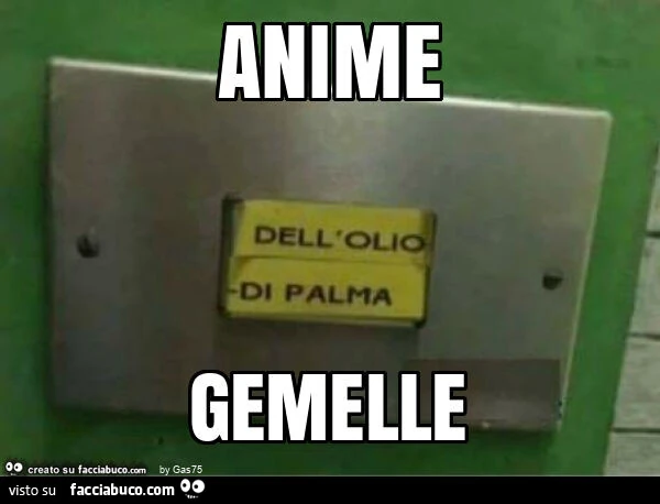 Anime gemelle