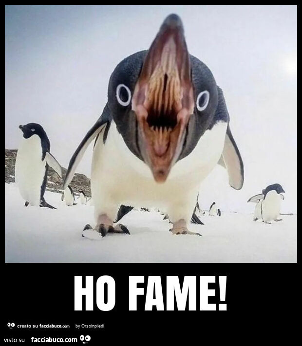 Ho fame