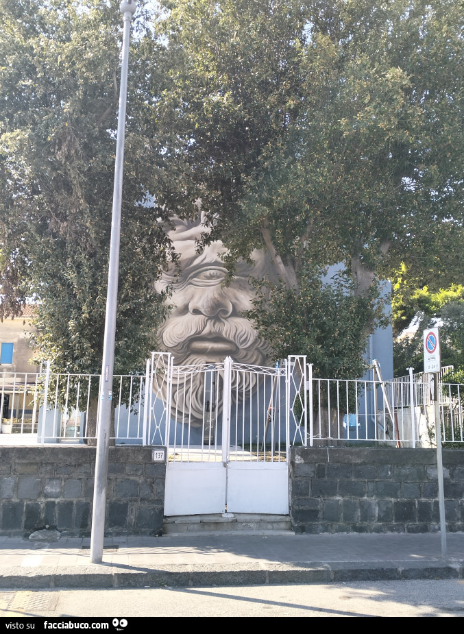 Ciclopi