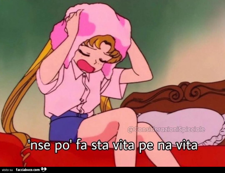 Non se po fa sta vita pe na vita