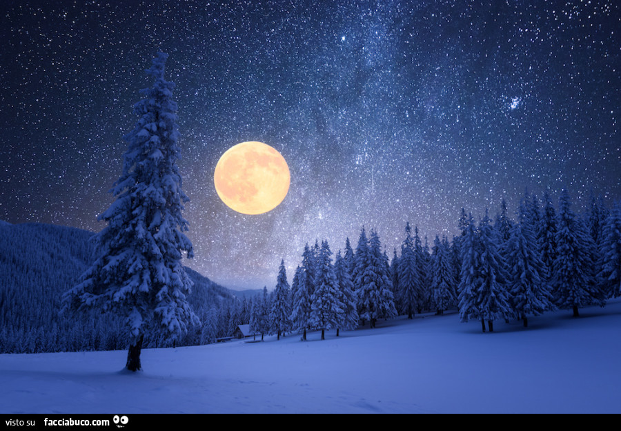 Luna piena in bosco invernale innevato