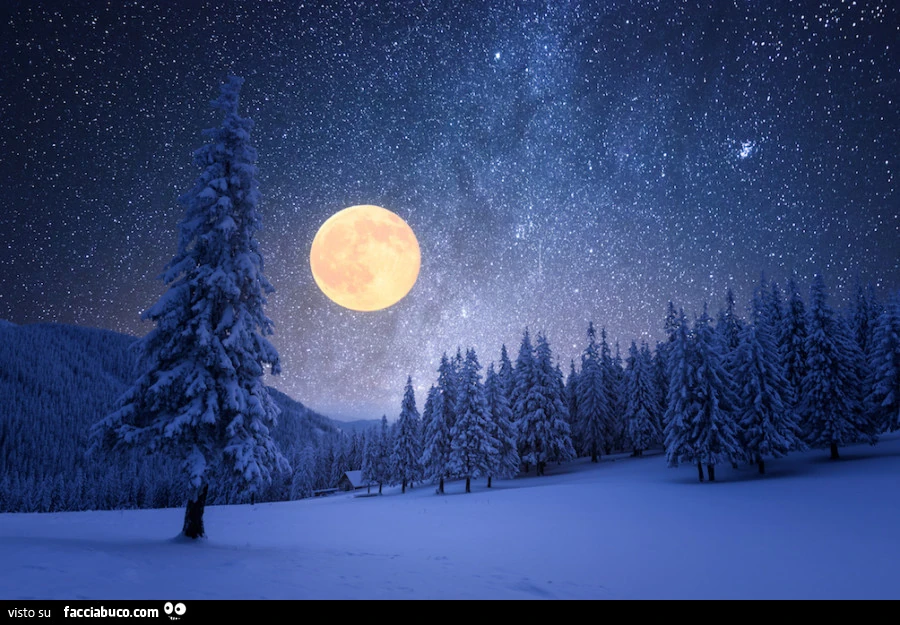 Luna piena in bosco invernale innevato