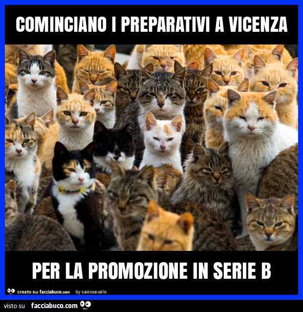Cominciano i preparativi a vicenza per la promozione in serie b