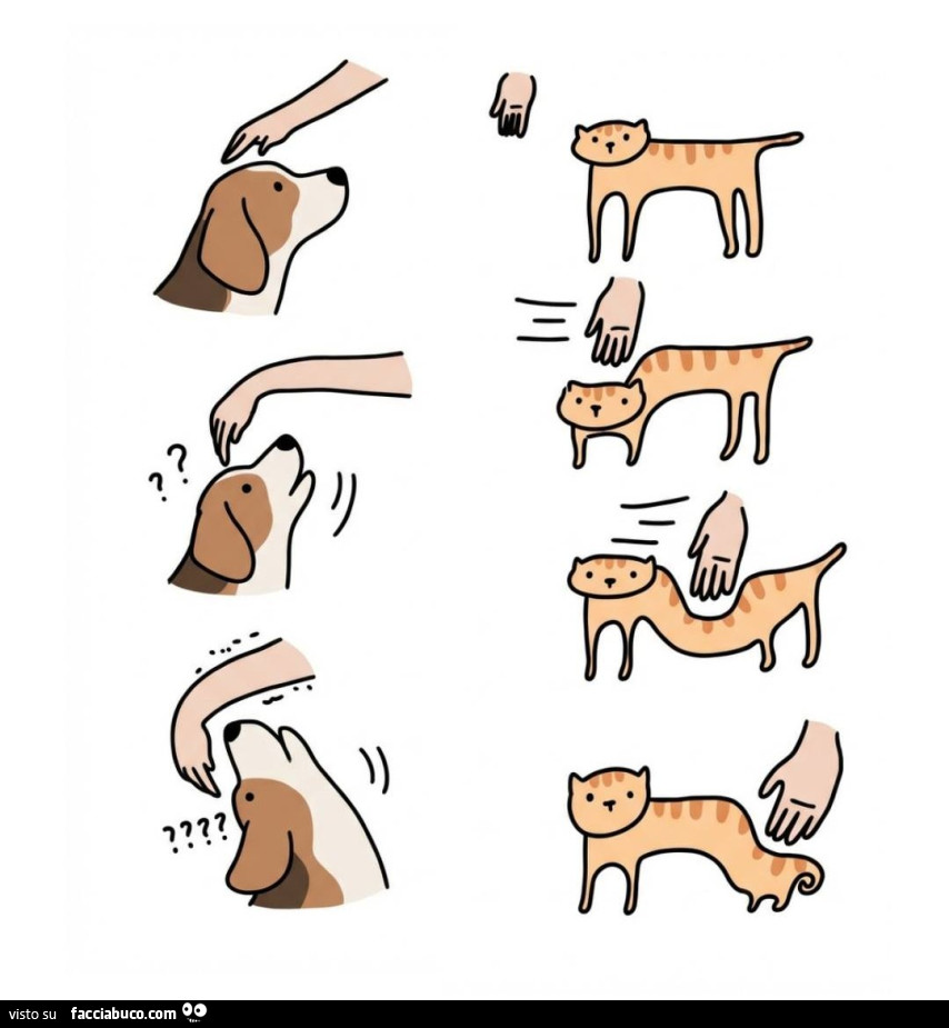 Differenza carezze gatto cane