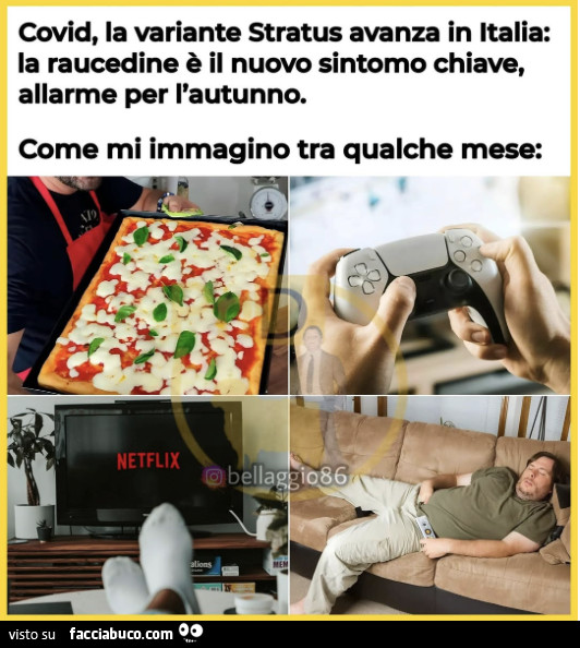Vaccata