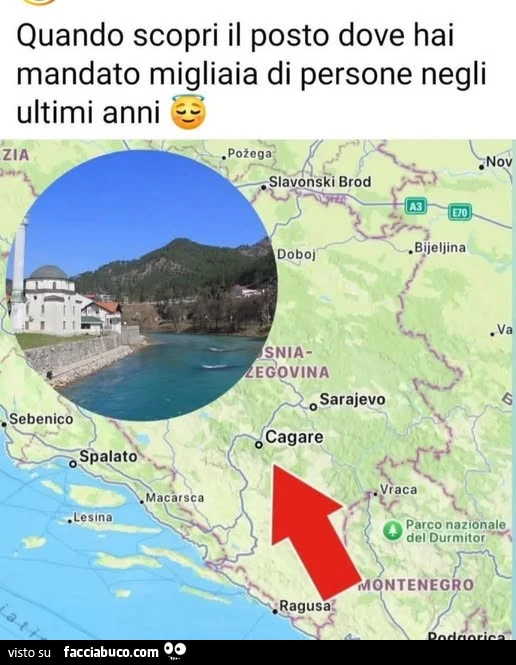 Vaccata