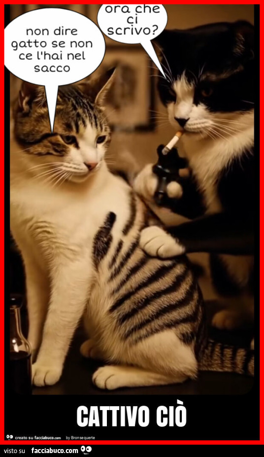 Cattivo ciò