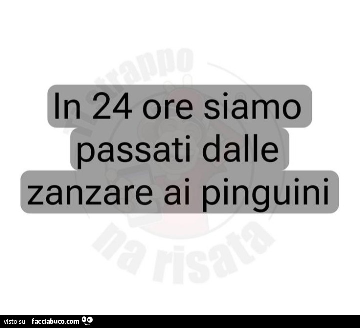In 24 ore siamo passati dalle zanzare ai pinguini