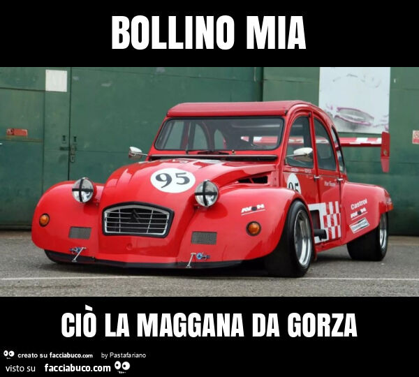 Bollino mia ciò la maggana da gorza