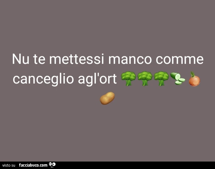 Vaccata
