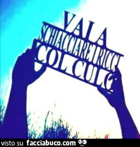 Vaccata