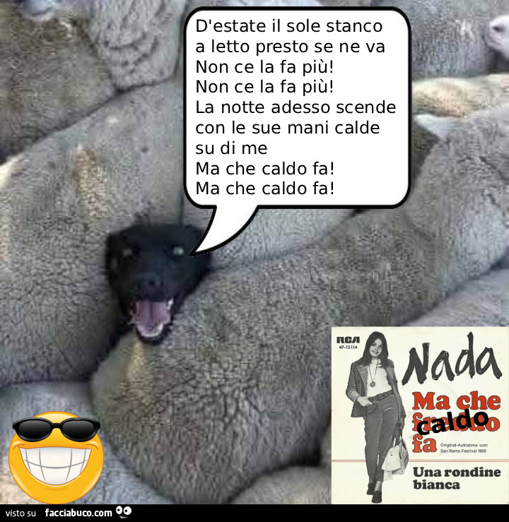 Vaccata