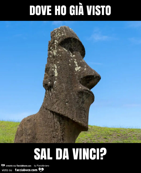 Dove ho già visto sal da vinci?