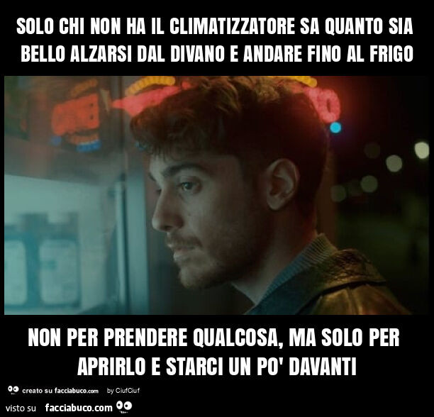 Solo chi non ha il climatizzatore sa quanto sia bello alzarsi dal divano e andare fino al frigo non per prendere qualcosa, ma solo per aprirlo e starci un po' davanti