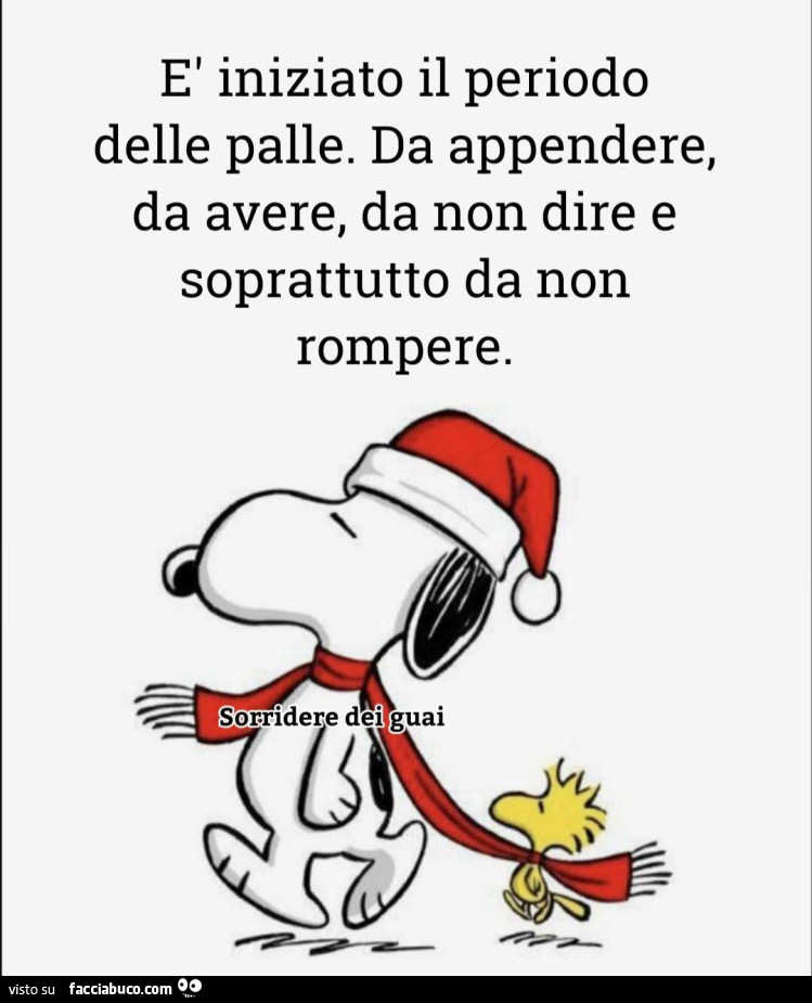 ร iniziato il periodo delle palle. Da appendere, da avere, da non dire e soprattutto da non rompere