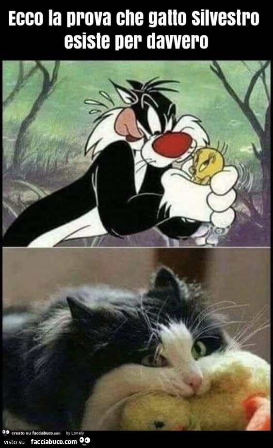 Ecco la prova che gatto silvestro esiste per davvero