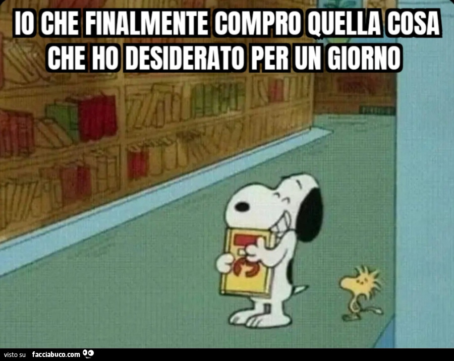 Io che finalmente compro quella cosa che ho desiderato per un giorno