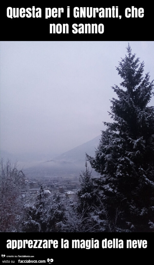 Questa per i gnuranti, che non sanno apprezzare la magia della neve