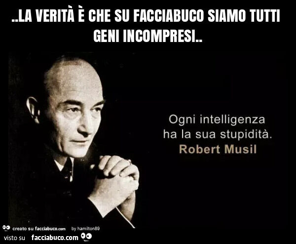 La verità è che su facciabuco siamo tutti geni incompresi