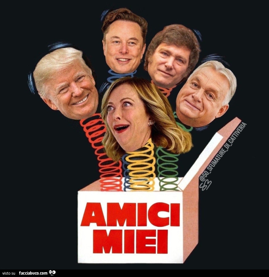 Amici miei
