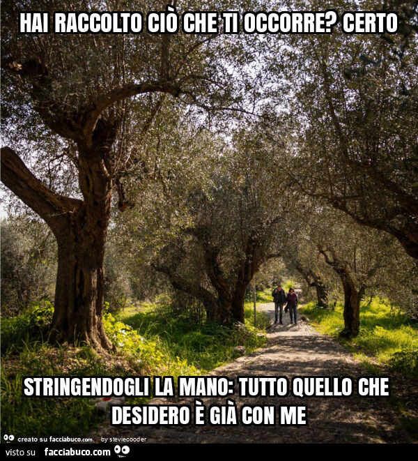 Hai raccolto ciò che ti occorre? Certo stringendogli la mano: tutto quello che desidero è già con me