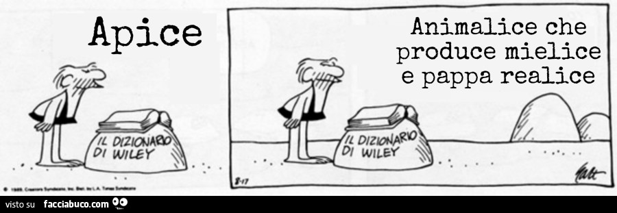 Apice animalice che produce mielice e pappa realice