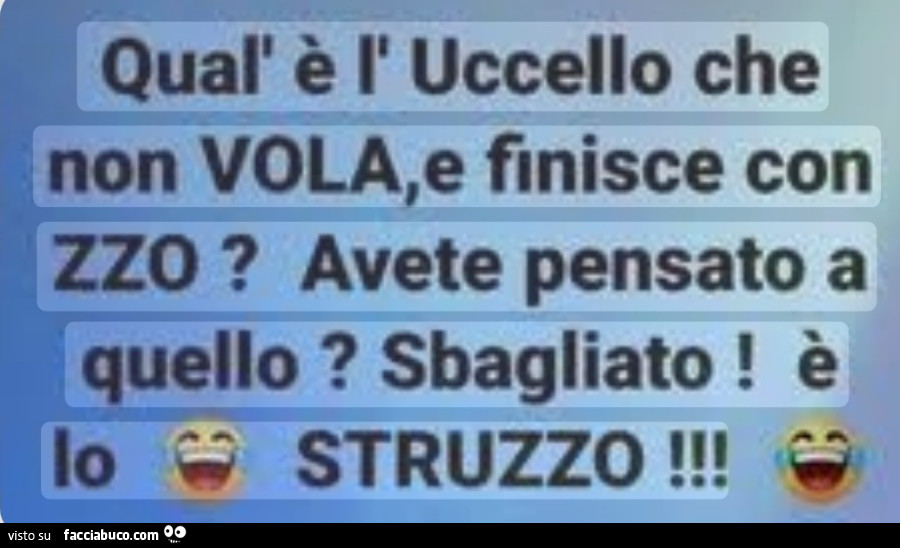 Struzzo