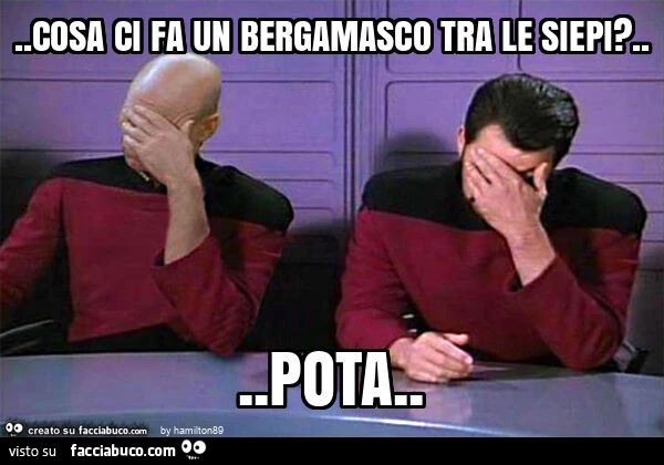 Cosa ci fa un bergamasco tra le siepi? &hellip; pota